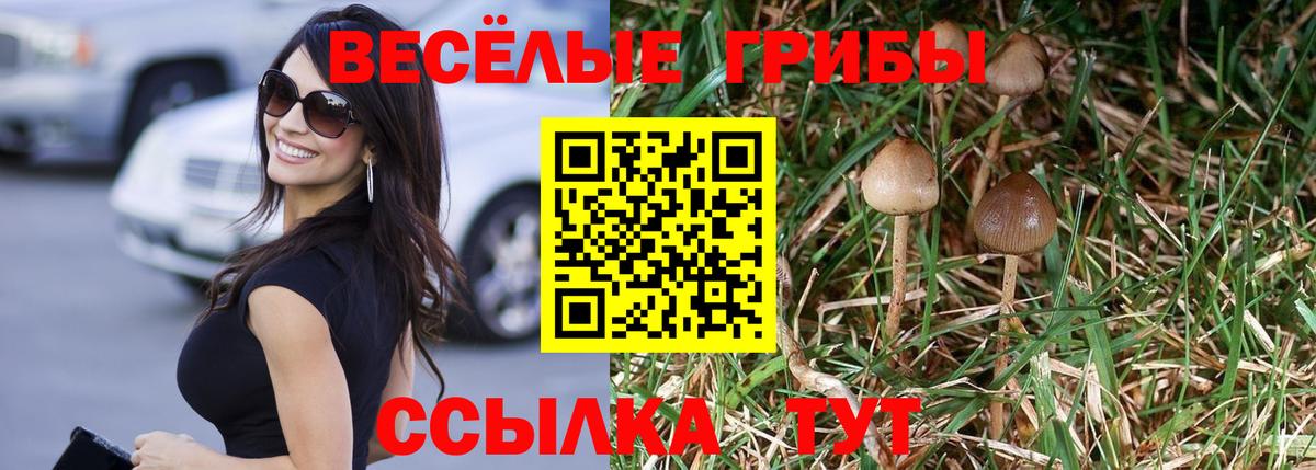 Псилоцибиновые грибы Magic Shrooms Кемерово