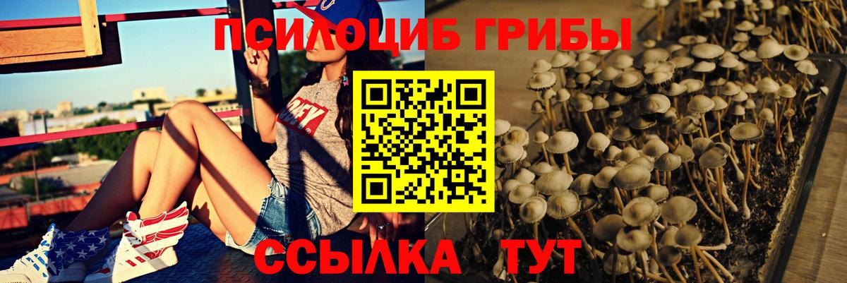 Галлюциногенные грибы прущие грибы  дарнет шоп  Псилоцибиновые грибы мицелий  Кемерово  Вход с VPN 